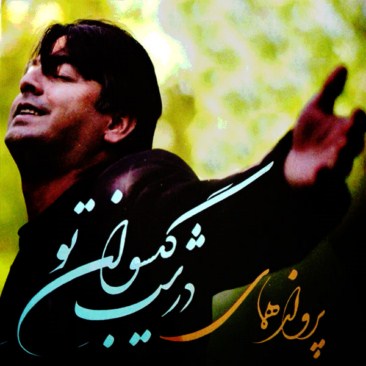 دانلود آلبوم جدید گروه پرواز همای در شب گیسوان تو